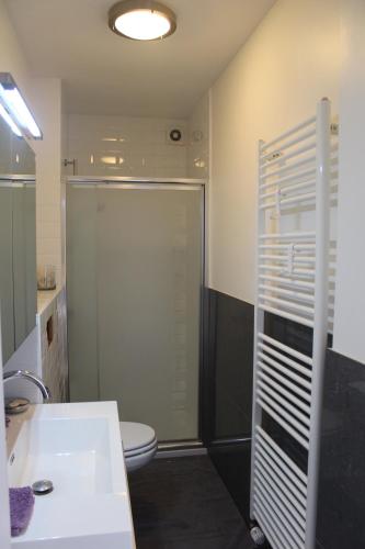 La salle de bains est pourvue de toilettes et d'une douche en verre. dans l'établissement Appartement Azur Oostende, à Ostende