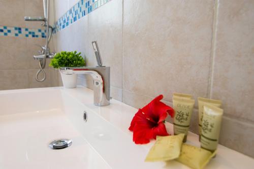 Gallery image of Paxos Sunrise Villas in Gaios