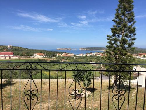 a balcony with a view of a tree and the ocean at Gianna's Guesthouse & Cave Studio in Pylos