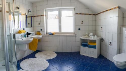 a bathroom with a sink and a toilet and a window at Spessart-Romantik in Blankenbach