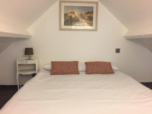 1 dormitorio con 1 cama blanca y 2 almohadas en Maison/gîte-6 km de Tours en La Membrolle-sur-Choisille