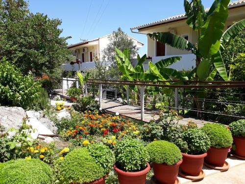 a garden with plants and flowers in front of a house at La Casa Di Nonna Anna in Nikiana