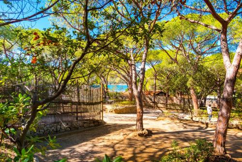 a path through a forest of trees with a fence at Camping Lacona Pineta in Capoliveri