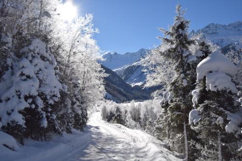 a snow covered road with snow covered trees and mountains at Ursprung Panorama Hotel Königsleiten in Königsleiten