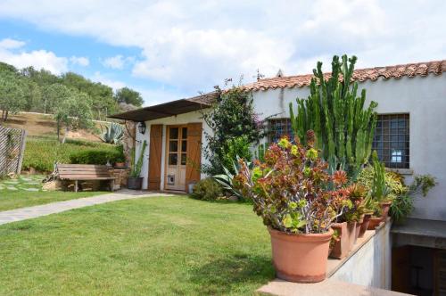 a house with plants in front of a yard at Sa Rezzetta in Golfo Aranci