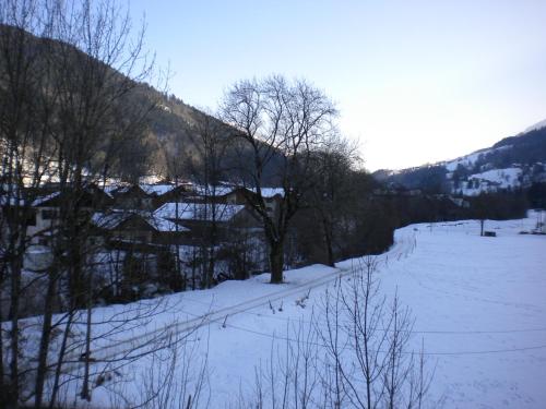 a snow covered field with trees and a river at Gîte Les Mésanges in Thônes
