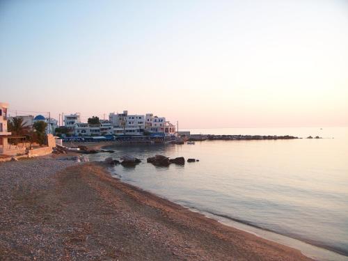 a group of buildings on a beach next to the water at Adonis Hotel Naxos in Apollon
