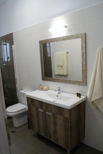 a bathroom with a sink and a toilet and a mirror at Orama Suites II in Kato Daratso