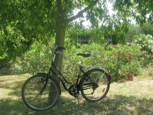 a bike parked next to a tree in the grass at Mas Myro in Uzès