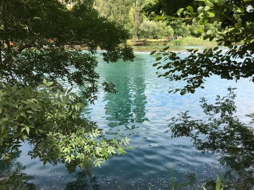 a view of a river through the branches of trees at River huts Zrmanja in Obrovac