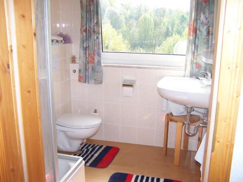 a bathroom with a toilet and a sink and a window at Gasthof Zum Stausee in Engelskirchen
