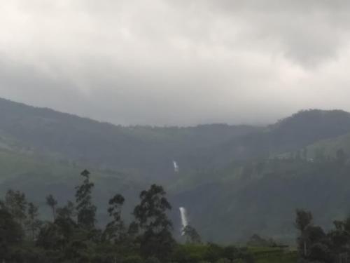 a misty valley with trees and a hill in the background at DAM HOUSE (Near Adams Peak) in Maskeliya