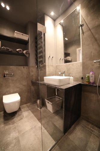 ワルシャワにあるASKI New Powiśle Copernicus Apartmentのバスルーム(洗面台、トイレ、鏡付)