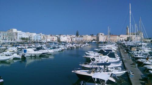 a bunch of boats are docked in a harbor at Monolocale prezioso in Trani
