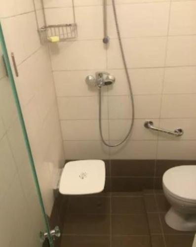 a small bathroom with a toilet and a shower at Villa Rena In Front of the Sea in Arkoudi