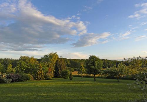 a field of green grass with trees in the background at le lansquenet in Rorbach-lès-Dieuze