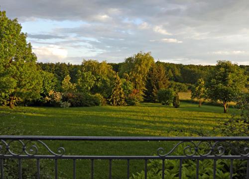 a view of a field with a fence and trees at le lansquenet in Rorbach-lès-Dieuze