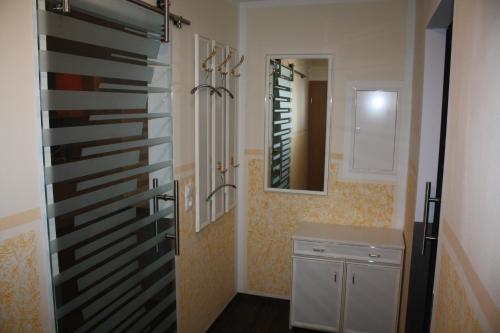 a bathroom with a refrigerator and a sink and a mirror at FEWO Loos in Ehrenfriedersdorf