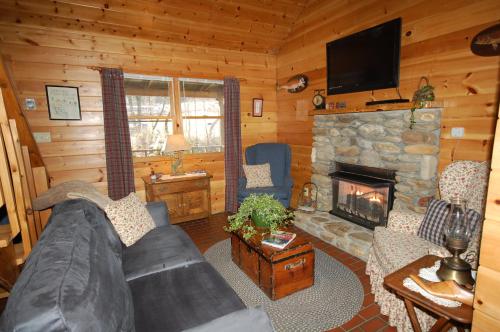 TV a/nebo společenská místnost v ubytování Mountain Springs Cabins