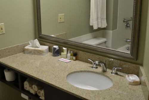 Gallery image of Euro-Suites Hotel in Morgantown