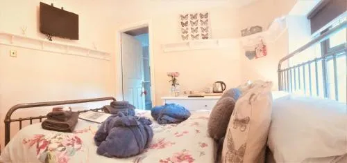 Ty Mynydd Lodge photo 3