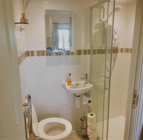 Ванная комната в Ty Mynydd Lodge