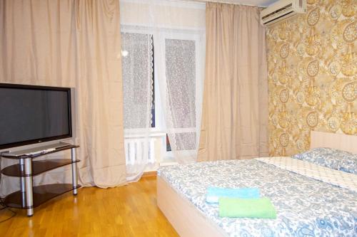 モスクワにあるApartment on Kuntsevskayaのベッドルーム(ベッド1台、薄型テレビ付)