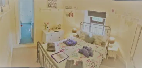 Ty Mynydd Lodge photo 4