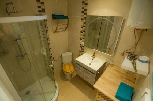 a bathroom with a shower and a toilet and a sink at La casita azul de la playa in Valencia