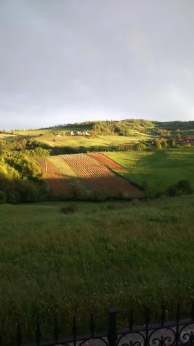 a view of a farm field with a fence at Locanda Sensi in Rivergaro