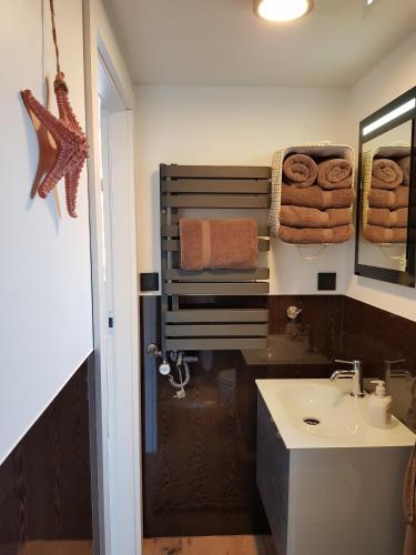 a bathroom with a sink and a mirror and towels at Riverloft I in Cuxhaven