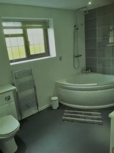Ty Mynydd Lodge photo 6