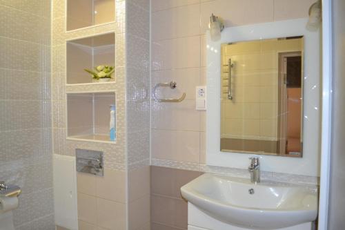 格連吉克的住宿－Апартаменты на Парусной，浴室配有盥洗盆和带镜子的淋浴