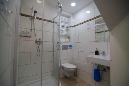 uma casa de banho com um chuveiro, um WC e um lavatório. em Traditional Piran house em Piran