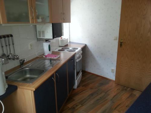 uma pequena cozinha com um lavatório e um fogão em Haus Schammes em Wutha-Farnroda