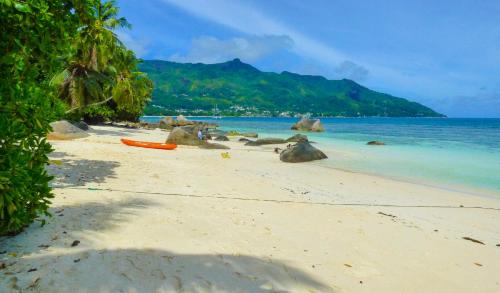 a beach with a bunch of rocks and the ocean at Mouggae Blues Villas in Beau Vallon