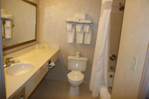 Holiday Inn Budd Lake - Rockaway Area, an IHG Hotel في Budd Lake: حمام مع مرحاض ومغسلة ومرآة