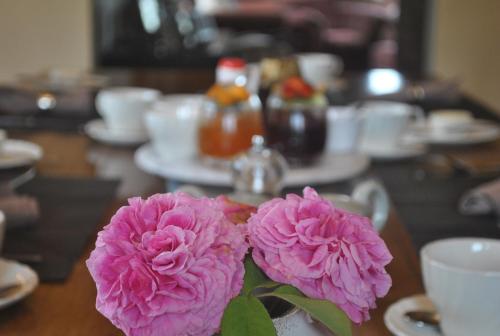 Jídlo v farmy nebo okolí