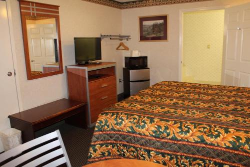 a hotel room with a bed and a television at Apple Annie's Inn in Nashville