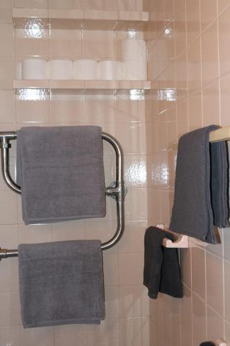 a bathroom with towels hanging on a wall at Guest House Old Kutaisi in Kutaisi