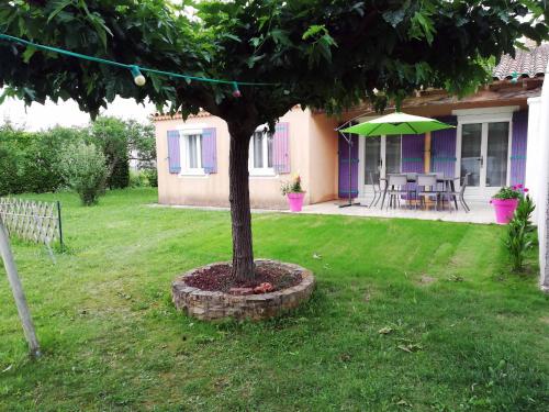 a tree in a pot in front of a house at La Villa de l'Aygues in Camaret-sur-Aigues