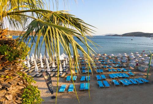 Φωτογραφία από το άλμπουμ του Gumbet Anil Beach σε Gümbet
