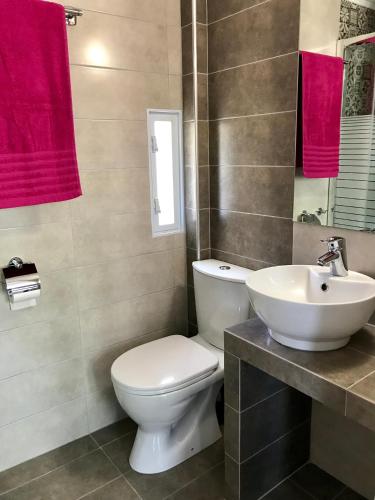 a bathroom with a white toilet and a sink at BIO Garden Stonehouse in Gonia