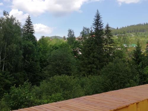 a view from the roof of a house with trees at Pigy in Tatariv