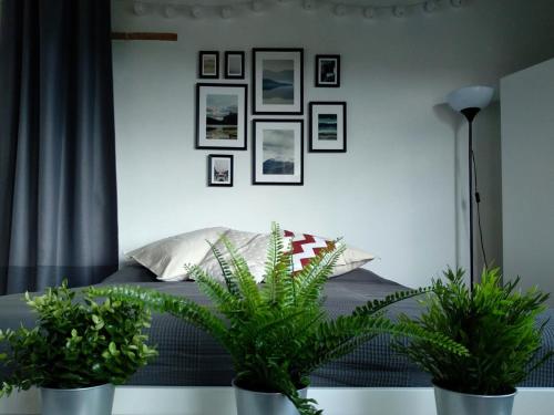 a bedroom with two potted plants on a bed at Da Vinci Sweet Home in Castiglion Fibocchi