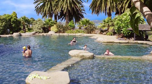 a group of people swimming in a swimming pool at Copthorne Hotel & Resort Bay Of Islands in Paihia