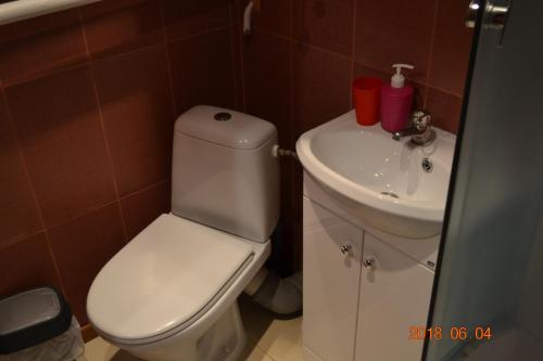 レーゼクネにあるMelīnaの白いトイレと洗面台のあるバスルーム