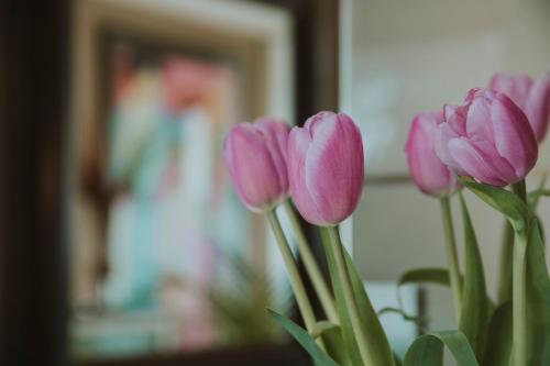 a bunch of pink tulips in a vase at B&B Inés in Sant Cugat del Vallès