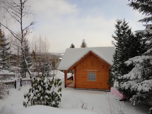 a log cabin with snow on the roof at Glückliche Elfen in Sankt Kathrein am Hauenstein