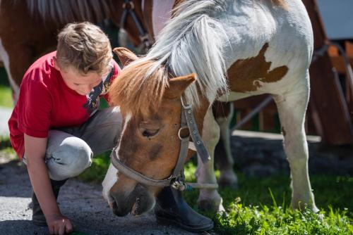 a woman petting a brown and white horse at Ferienwohnungen Plattnerhof in Terfens